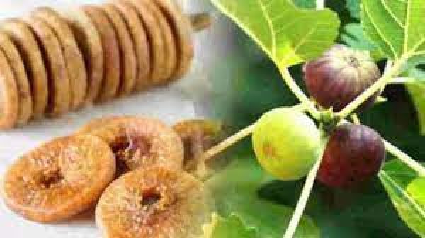 रोज़ाना खाली पेट खाये अंजीर, मिलेंगे ये फायदे