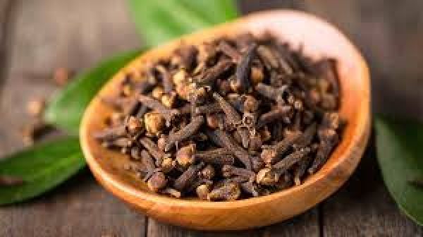  कोलेस्ट्रॉल और डायबिटीज में फायदेमंद हो सकती है लौंग