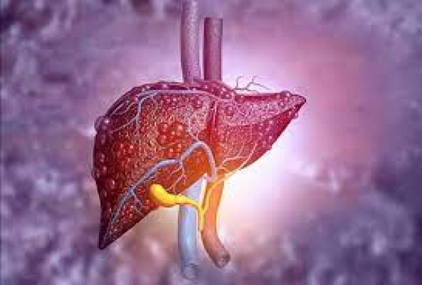 लिवर को स्वस्थ रखने के लिए इन बातों का रखें ख्याल