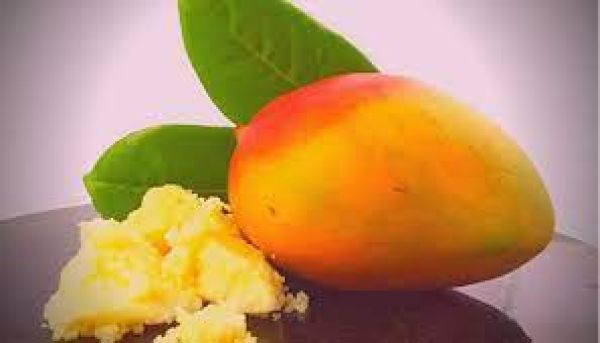 सेहत के लिए खास बनाते हैं आम