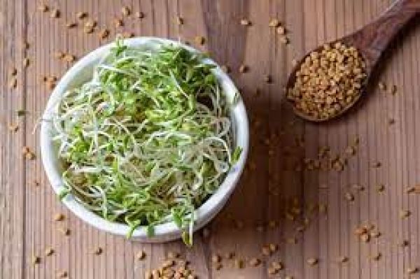 डायबिटीज ही नहीं इन 4 बीमारियों में भी खाएं अंकुरित मेथी