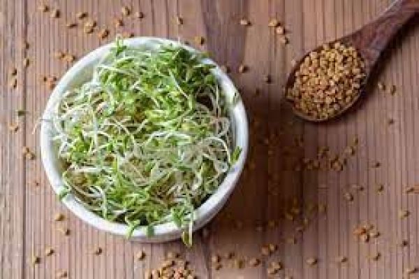 डायबिटीज ही नहीं इन 4 बीमारियों में भी खाएं अंकुरित मेथी