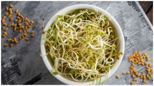डायबिटीज ही नहीं इन 4 बीमारियों में भी खाएं अंकुरित मेथी