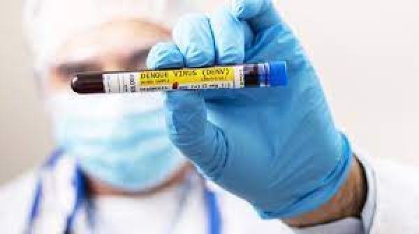 डेंगू के मरीज तेजी से प्लेटलेट्स बढ़ाने क्या करें?