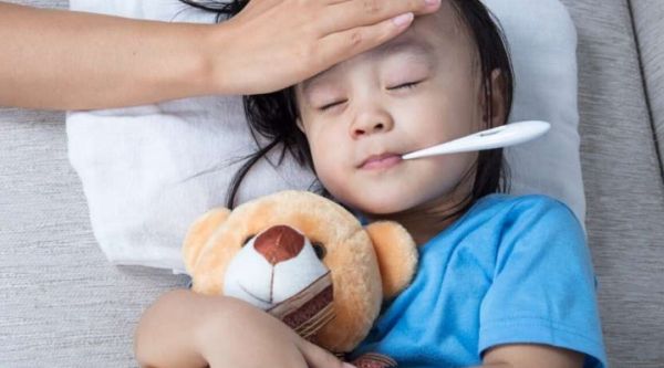 सेहत : इस मच्छर के काटने से फैलता है जापानी इंसेफेलाइटिस