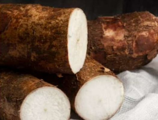 सेहत: आलू जैसी दिखने वाली इस सब्जी से कंट्रोल रहेगी ब्लड शुगर