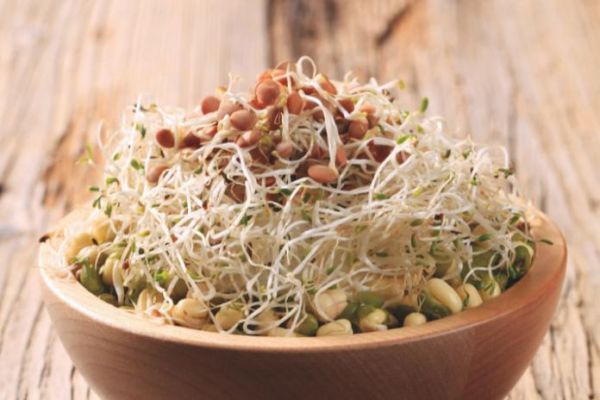 सेहत: ये अंकुरित अनाज धमनियों से खींच लेगा गंदगी