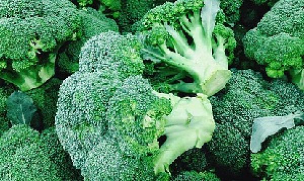 गोभी की तरह दिखती ये सब्जी है प्रोटीन का खजाना