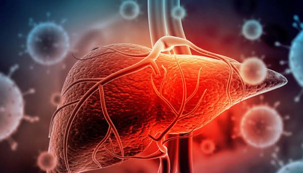 लिवर को हेल्दी रखना हैं तो जरूर खाएं ये फूड्स