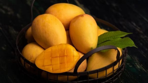 आम खाने से पहले क्यों भिगो कर रखने चाहिए