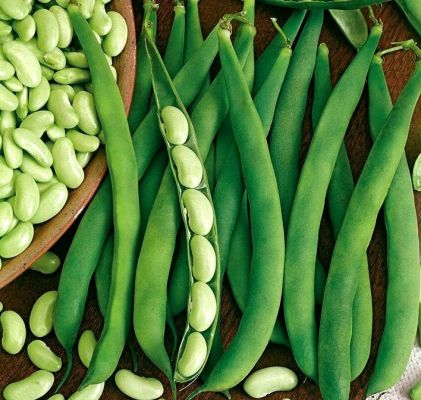 पोषक तत्वों का खजाना है ये हरी फली