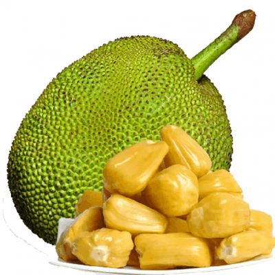 कटहल खाने के बाद क्या नहीं खाना चाहिए