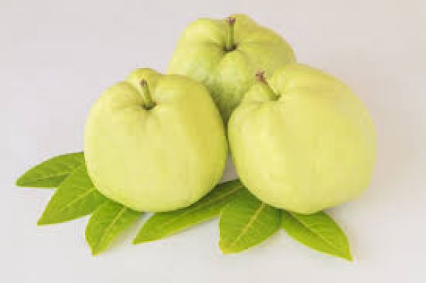 बालों में तेजी से ग्रोथ के लिए फायदेमंद है अमरुद के पत्ते 