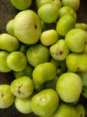 हार्ट और ब्लड प्रेशन में फायदेमंद है टिंडा