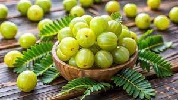 गुणकारी आंवले की खट्टी-मिठी डाइजेस्टिव गोली ऐसे बनाएं 