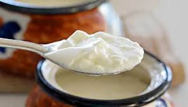 डेली डाइट में शामिल करें दही