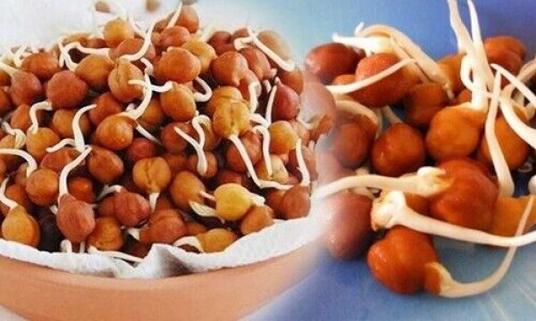 भिगोएं नहीं, अंकुरित चने खाएं और पाएं दोगुना पोषण 