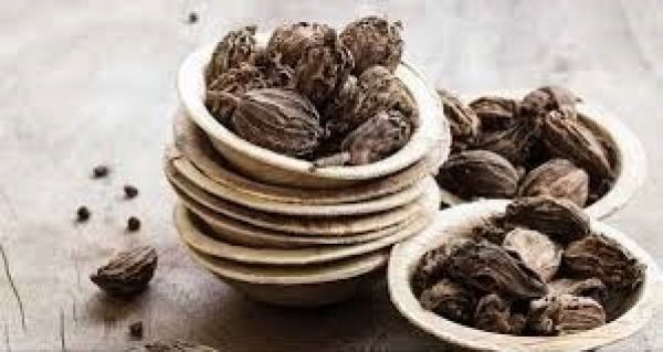 बड़ी इलायची का पानी: सेहत के लिए रामबाण, जानें इसके फायदे