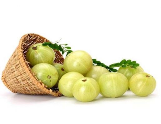 आंवला के पत्ते: सेहत का अनमोल खजाना