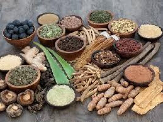 आयुर्वेद के अनुसार इन चीजों का सेवन एक साथ करने से बचें