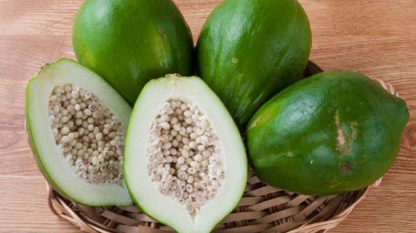 कच्चा पपीता यूरिक एसिड को करता है कंट्रोल