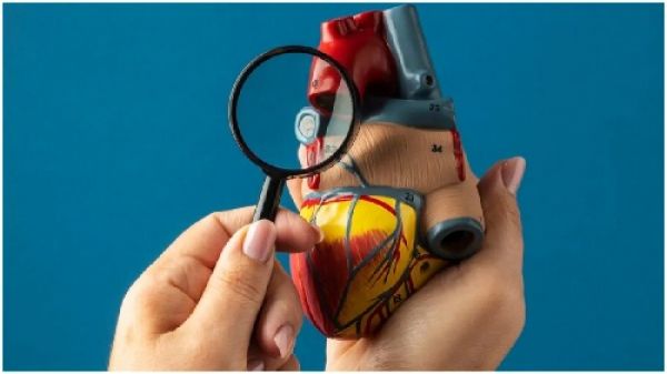 हाई ब्लड प्रेशर पर काबू पाने के लिए अपनाएं ये तरीके