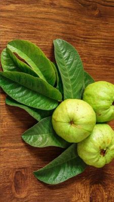 अमरूद के पत्तों में छिपा है सेहत का खजाना