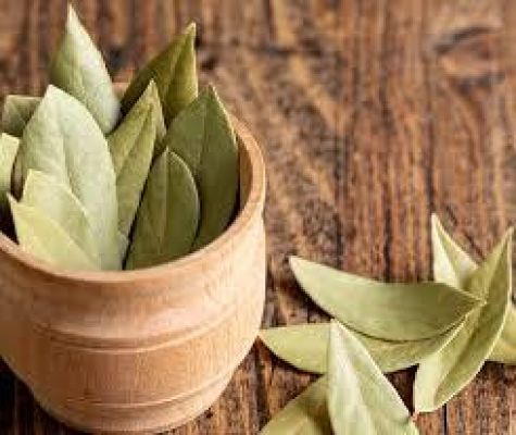 मधुमेह के मरीज रोज सुबह खाली पेट पी लें इस सूखे पत्ते की चाय