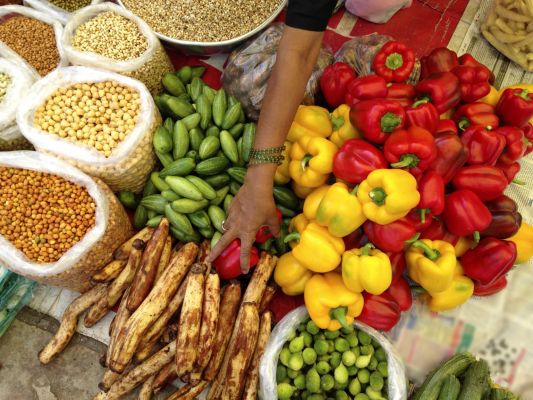 भारत में पोषण सेवन: एनएसओ सर्वेक्षण से कैलोरी, प्रोटीन और वसा की खपत के पैटर्न का पता चलता है