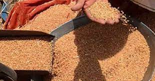 पाकिस्तान में रोटी के लाले, एक किलोग्राम गेहूं की कीमत 150 रुपये