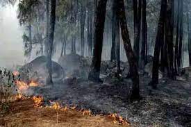 कनाडा की सीमा पर जंगल में लगी आग के कारण अमरीका में लाखों लोग खतरनाक धुंए में सांस ले रहे