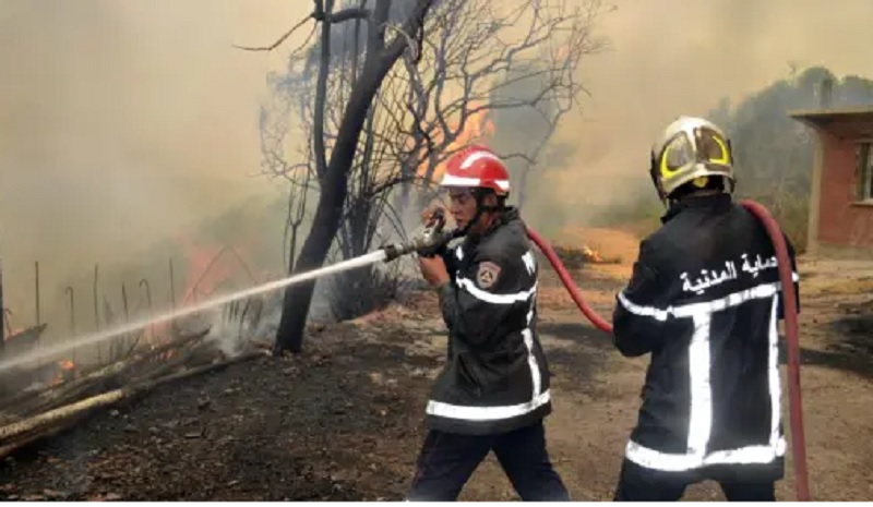 अल्जीरिया में दावानल से हाहाकार, 10 सैनिकों और 15 नागरिकों की मौत