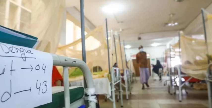 बांग्लादेश में डेंगू से 10 और मरीजों की मौत,आंकड़ा पहुंचा 293