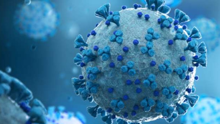 श्रीलंका में दो लोग कोरोना वायरस के नए वेरिएंट की गिरफ्त में, निगरानी बढ़ाई गई