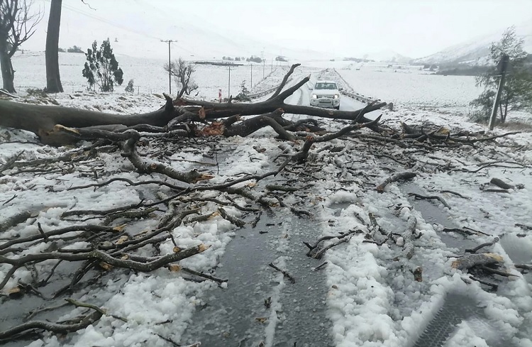  दक्षिण अफ्रीका में भयंकर बाढ़ से अब तक 49 लोगों की मौत, आंकड़ा और बढ़ने की आशंका