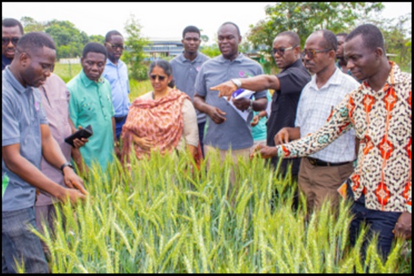 भारत-घाना साझेदारी: जलवायु-लचीले गेहूं की खेती से खाद्य आत्मनिर्भरता की ओर