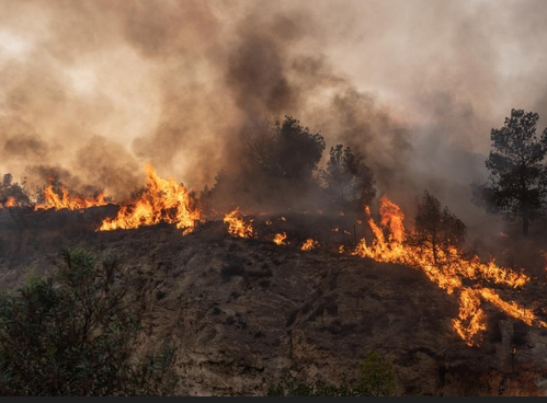 तुर्की के बुर्सा प्रांत में जंगल की आग से दमकलकर्मी की मौत, सैकड़ों लोगों को सुरक्षित निकाला गया