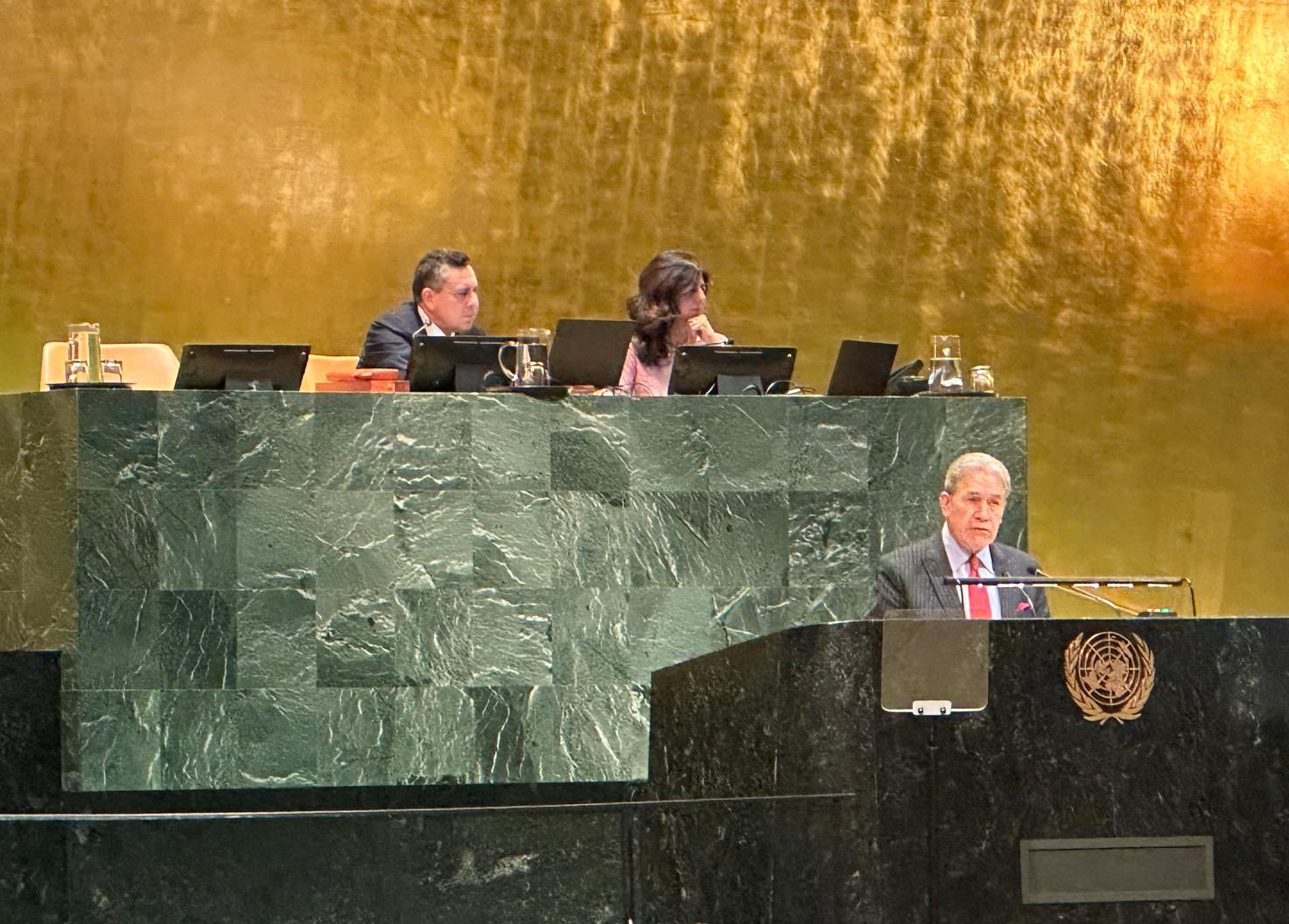 फिलिस्तीनी राज्य को मान्यता देने से न्यूजीलैंड का इनकार, विदेश मंत्री विंस्टन पीटर्स का बयान