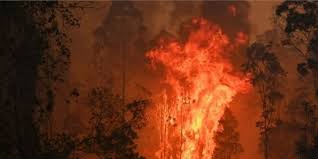 &ldquo;ऑस्ट्रेलिया के दो राज्यों में जंगल की आग से घर जलकर खाक, एक दमकलकर्मी की मौत&rdquo;