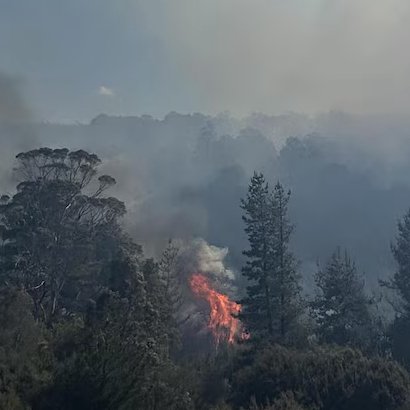 "डॉल्फिन सैंड्स में विनाशकारी आग से भारी नुकसान, 120+ संपत्तियाँ क्षतिग्रस्त"