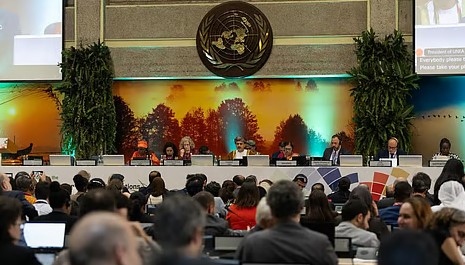 यूएनईए-7 में वैश्विक वन्य अग्नि प्रबंधन को मजबूत करने पर भारत का प्रस्ताव अपनाया गया