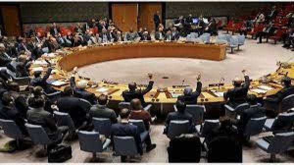 संयुक्त राष्ट्र सुरक्षा परिषद में भारत की अस्थाई सदस्यता की उम्मीदवारी का समर्थन करेगा मालदीव