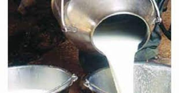  पाकिस्तान में महंगाई से लोग बेहाल, दूध हुआ 210 रुपये प्रति लीटर