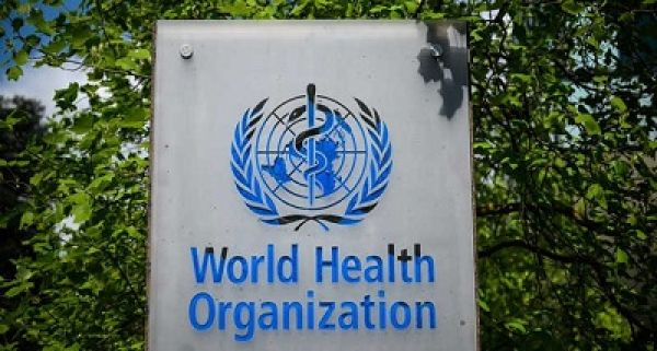 डब्ल्यू.एच.ओ ने अफगानिस्तान में डेंगू बुखार के मामलों में चेतावनी जारी की