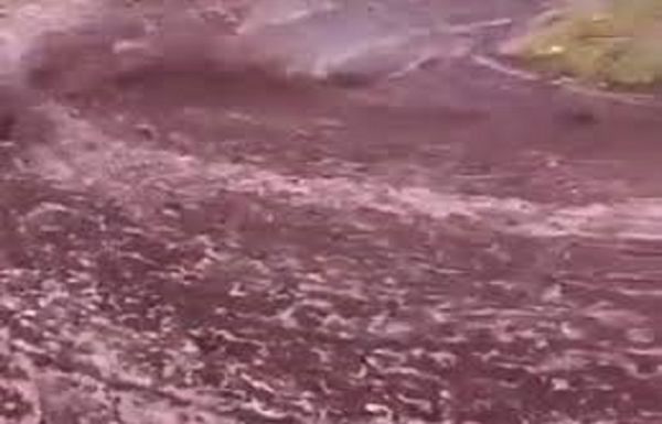 जब पुर्तगाल की सड़कों पर बहने लगी शराब की नदी, घरों में भर गई रेड वाइन