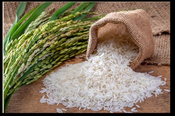 भारत से 27,000 टन चावल की दूसरी खेप बांग्लादेश पहुंचेगी