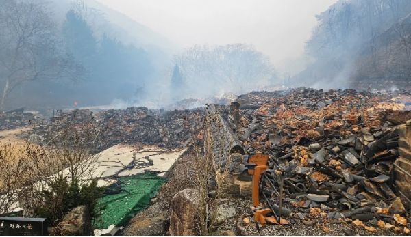  दक्षिण कोरिया के जंगल में आग हुई विकराल, 1,300 साल पुराना बौद्ध मंदिर नष्ट, 18 लोगों की मौत