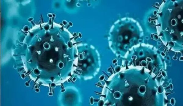  इथियोपिया में मारबर्ग वायरस प्रकोप: मृत्यु संख्या बढ़कर 5, स्वास्थ्य एजेंसियाँ सतर्क