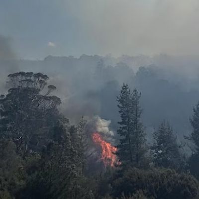 "डॉल्फिन सैंड्स में विनाशकारी आग से भारी नुकसान, 120+ संपत्तियाँ क्षतिग्रस्त"