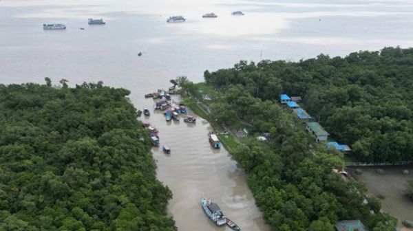 बांग्लादेश के सुंदरबन में समुद्री डाकुओं का डेरा, दहशत में मछुआरे